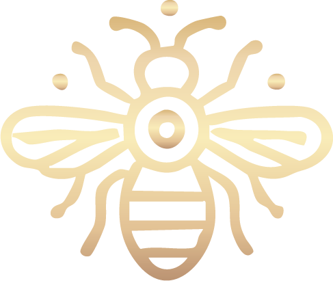 Anatolian Bee
